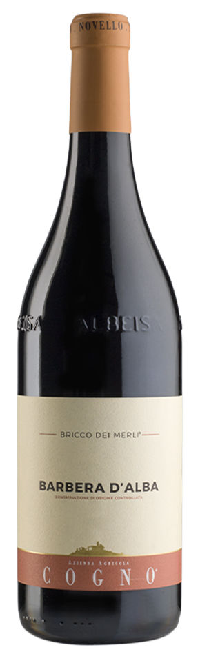 Elvio Cogno - 2022 Barbera d'Alba Bricco dei Merli