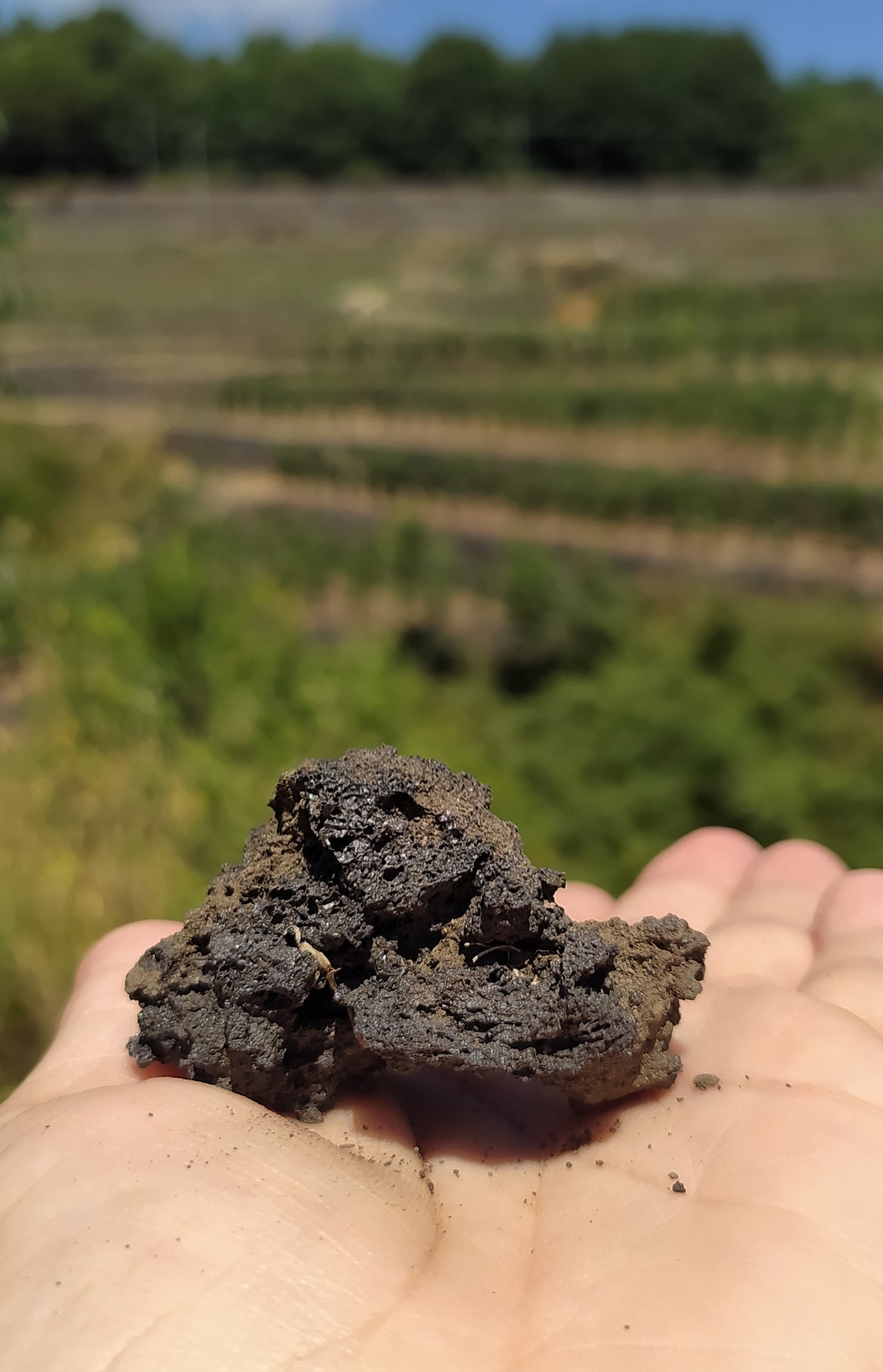 Maugeri Sizilien 2er Paket