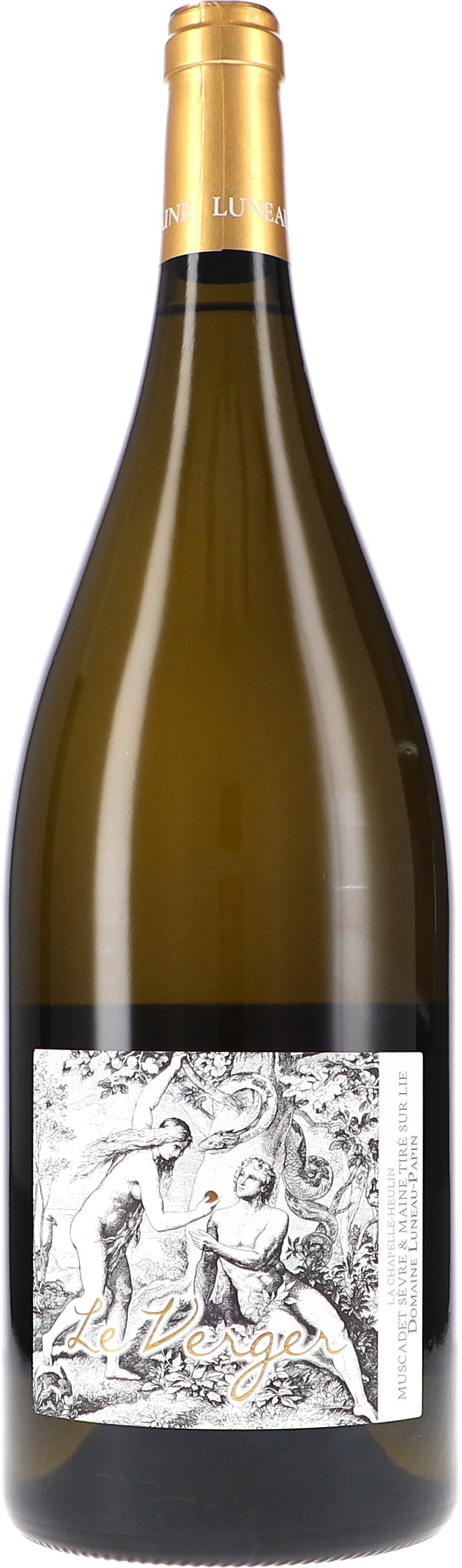 Luneau-Papin - 2024 Muscadet de Sèvre et Maine Le Verger