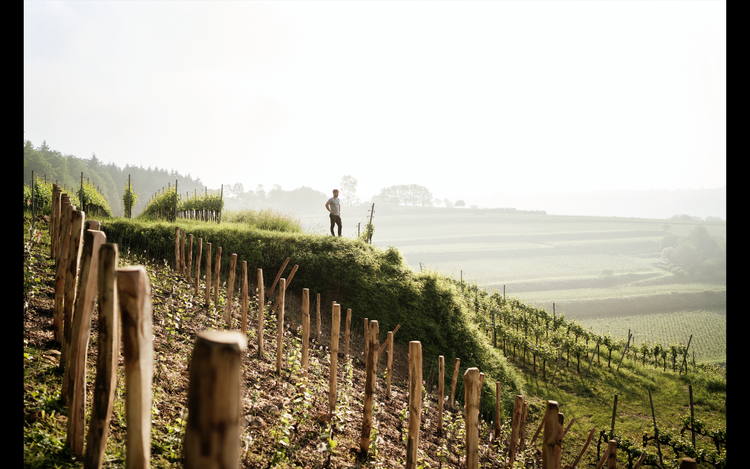 Weingut B. Huber