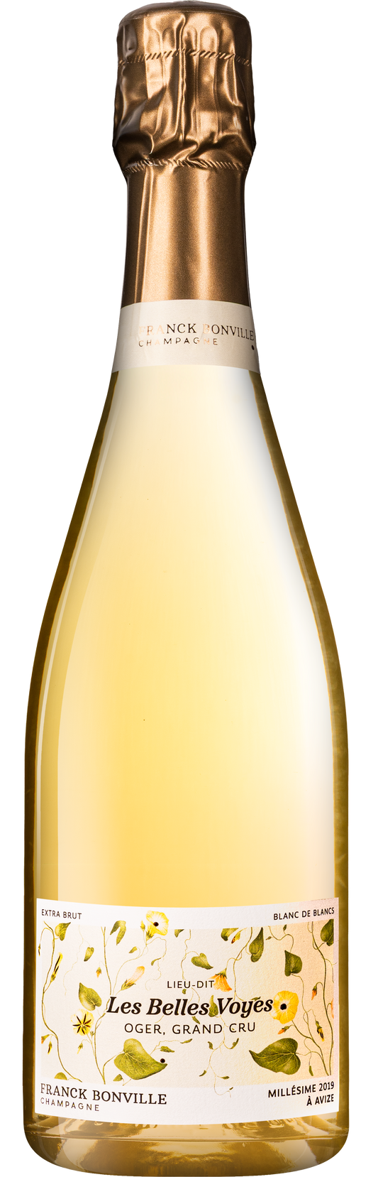 Champagne Franck Bonville - 2019 Les Belles Voyes Grand Cru