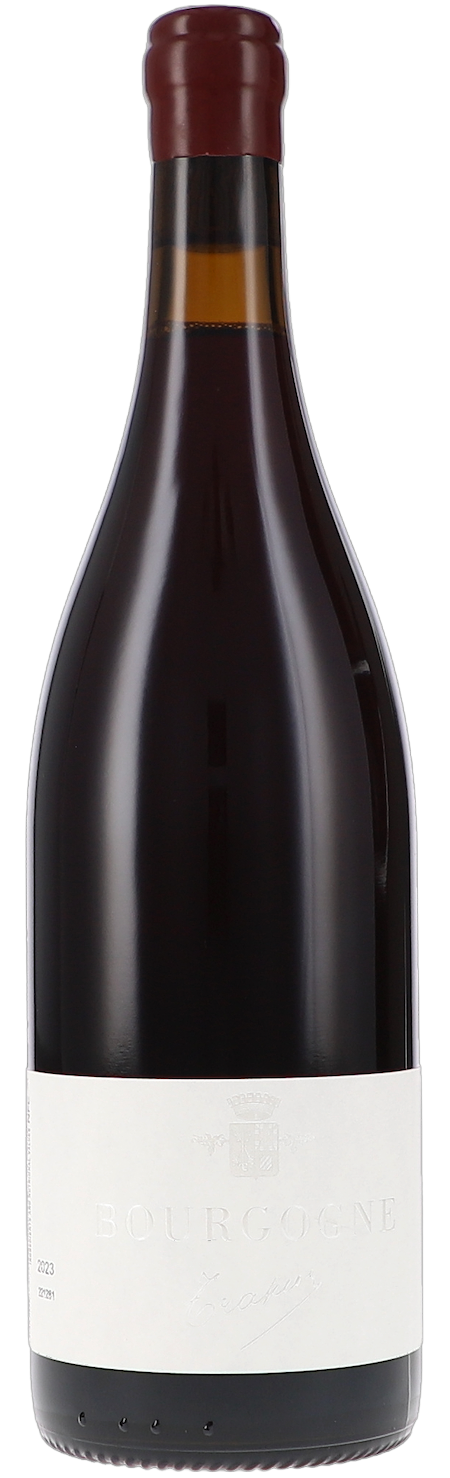 Trapet  - 2023 Bourgogne rouge