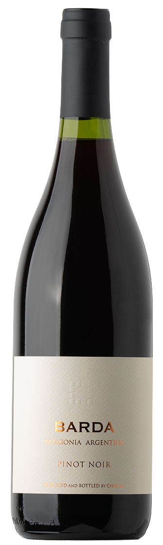 Chacra - 2019 Pinot Noir Barda